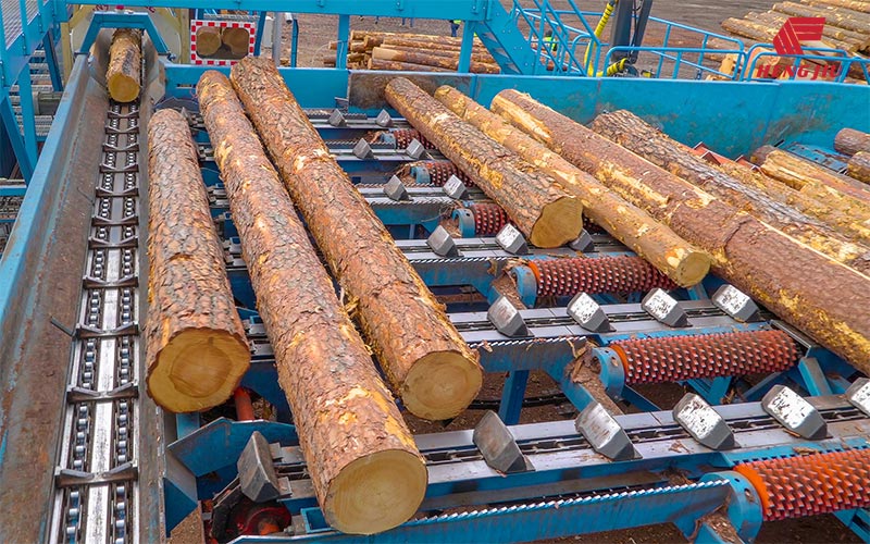 Timber Processing Industry 